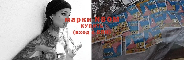 МДПВ Няндома