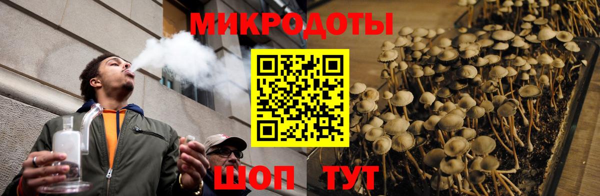 Псилоцибиновые грибы Magic Shrooms  Вход с VPN  Темрюк  Псилоцибиновые грибы мухоморы 