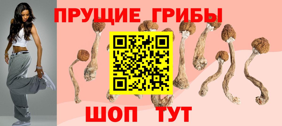 Галлюциногенные грибы мицелий Темрюк
